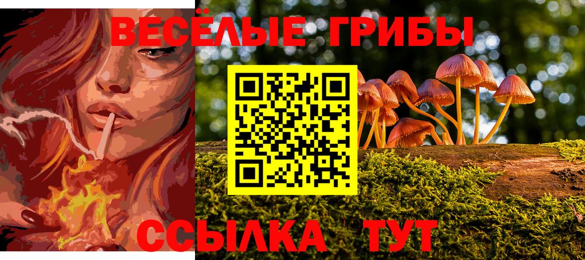Псилоцибиновые грибы GOLDEN TEACHER Киржач