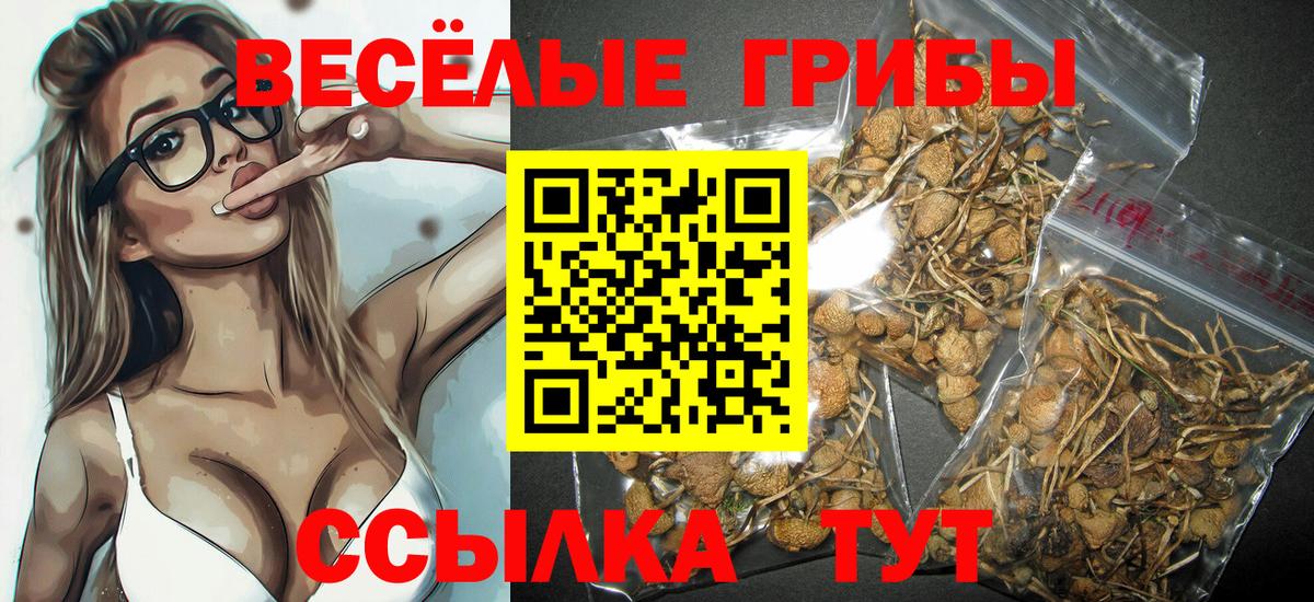 Галлюциногенные грибы MAGIC MUSHROOMS  Псилоцибиновые грибы Psilocybe  Киржач  наркота  Вход с VPN 